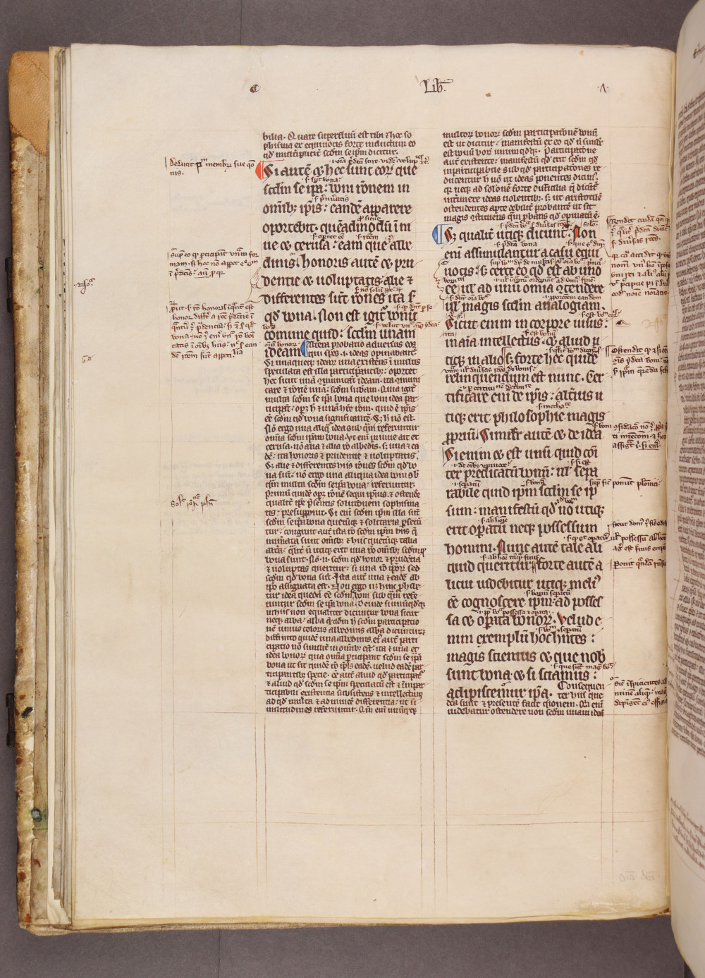 Folio 24 verso